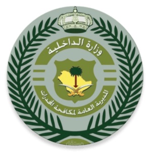 المديرية العامة